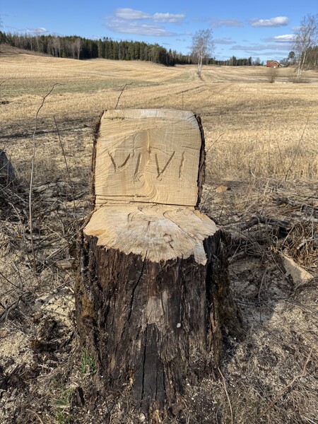 Klikk for å se forhåndsvisning