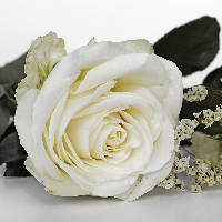 Berit Færgestad
