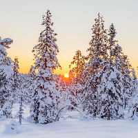 Finn Tørres Joa Kjølberg